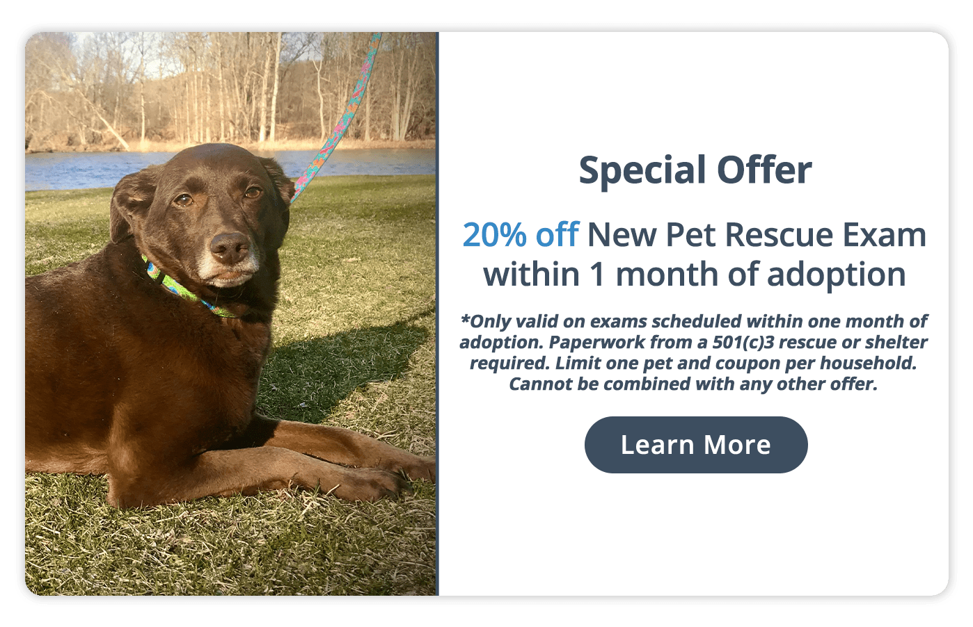 Special Offer! 20% off New Pet Rescue Exam within 1 month of adoption!