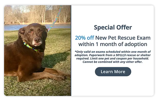 Special Offer! 20% off New Pet Rescue Exam within 1 month of adoption!