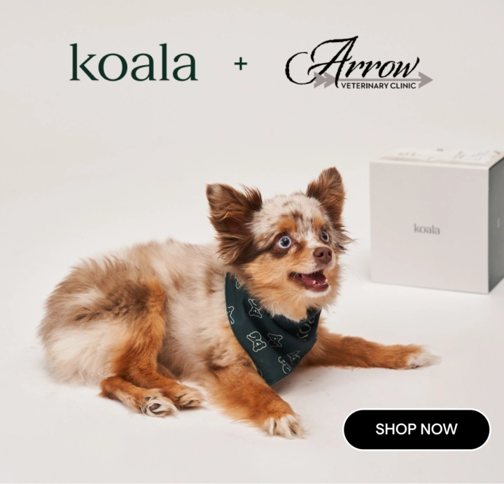 Koala + Arrow Veterinary Clinic - Shop Now