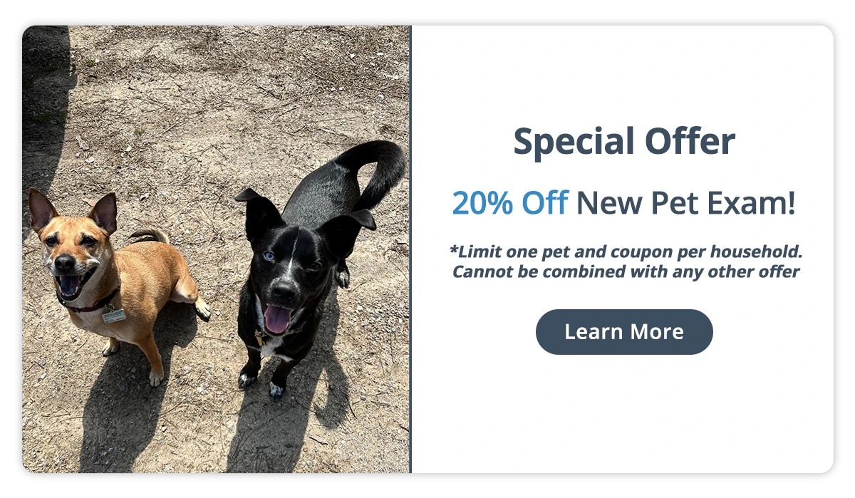 Special Offer! 20% off New Pet Exam!