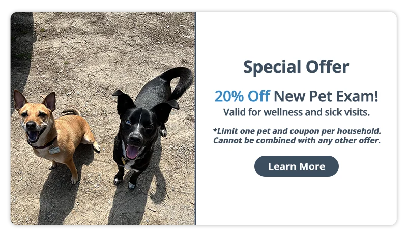 Special Offer! 20% off New Pet Exam!